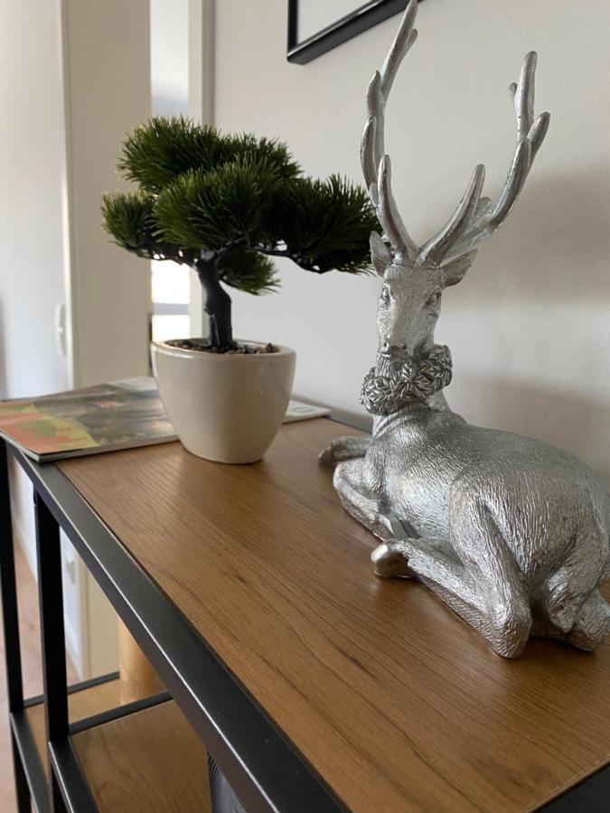 Ferienwohnung Hausbergblick Bad Lauterberg Eksteriør billede